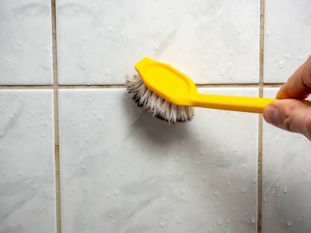 Best Mold Removal Company Near Me  in Gibraltar, MI