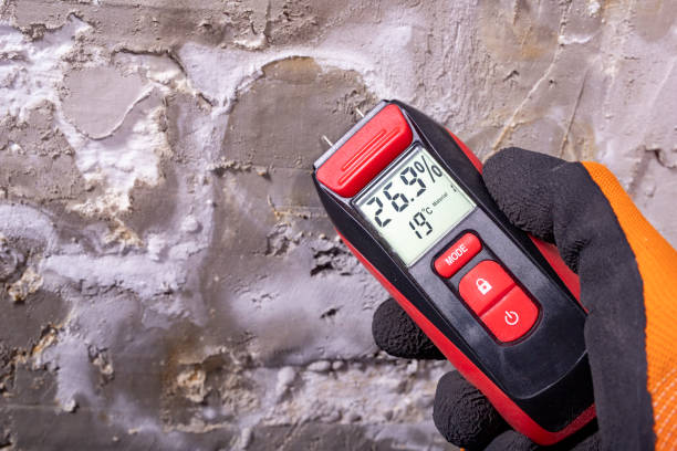 Best Home Mold Removal  in Gibraltar, MI