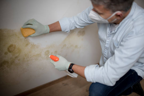 Water Damage Restoration in Gibraltar, MI