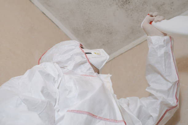 Gibraltar, MI Mold Removal Company