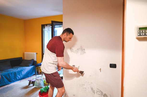 Best Home Mold Removal  in Gibraltar, MI